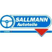 Roland Sallmann GmbH logo