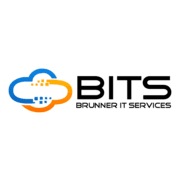 BITS - Brunner IT Services GmbH & Co. KG logo
