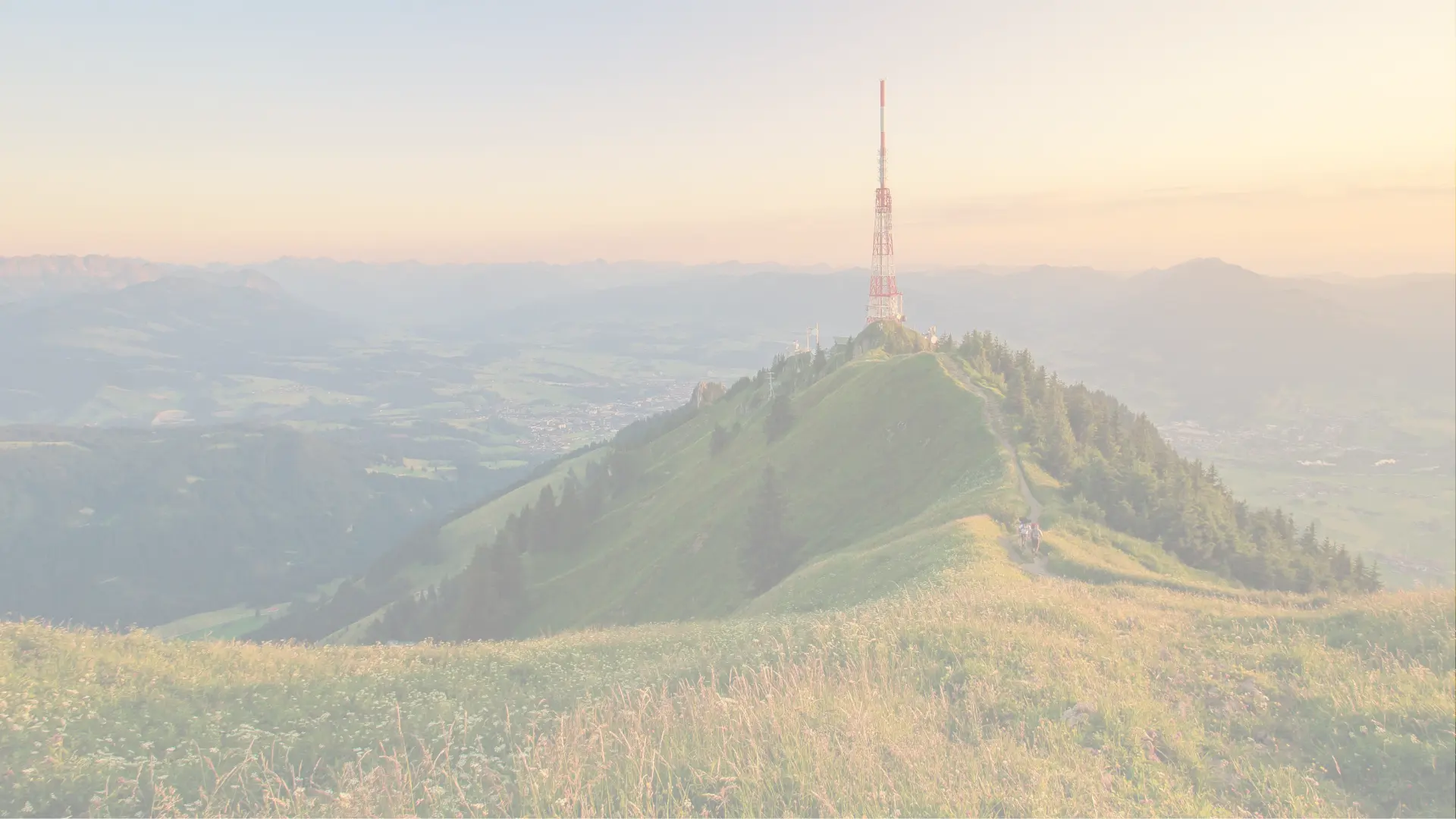 © Adrian72 - stock.adobe.com