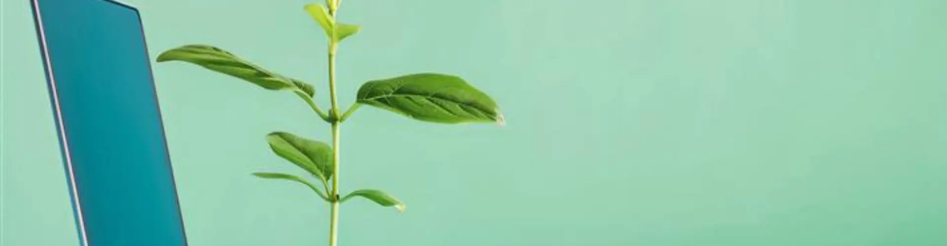 © Kaleb - stock.adobe.com