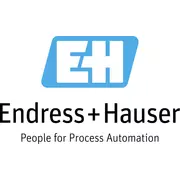 Endress + Hauser Wetzer GmbH + Co. KG logo