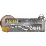 Hotel & Museums-Wirtshaus Zum Alten Senn