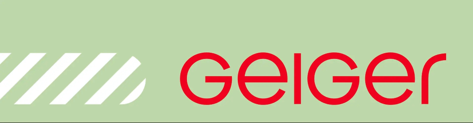 Geiger Gruppe cover